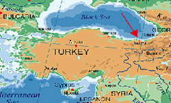صادرات استان طرابوزان ترکیه به 113 کشور دنیا